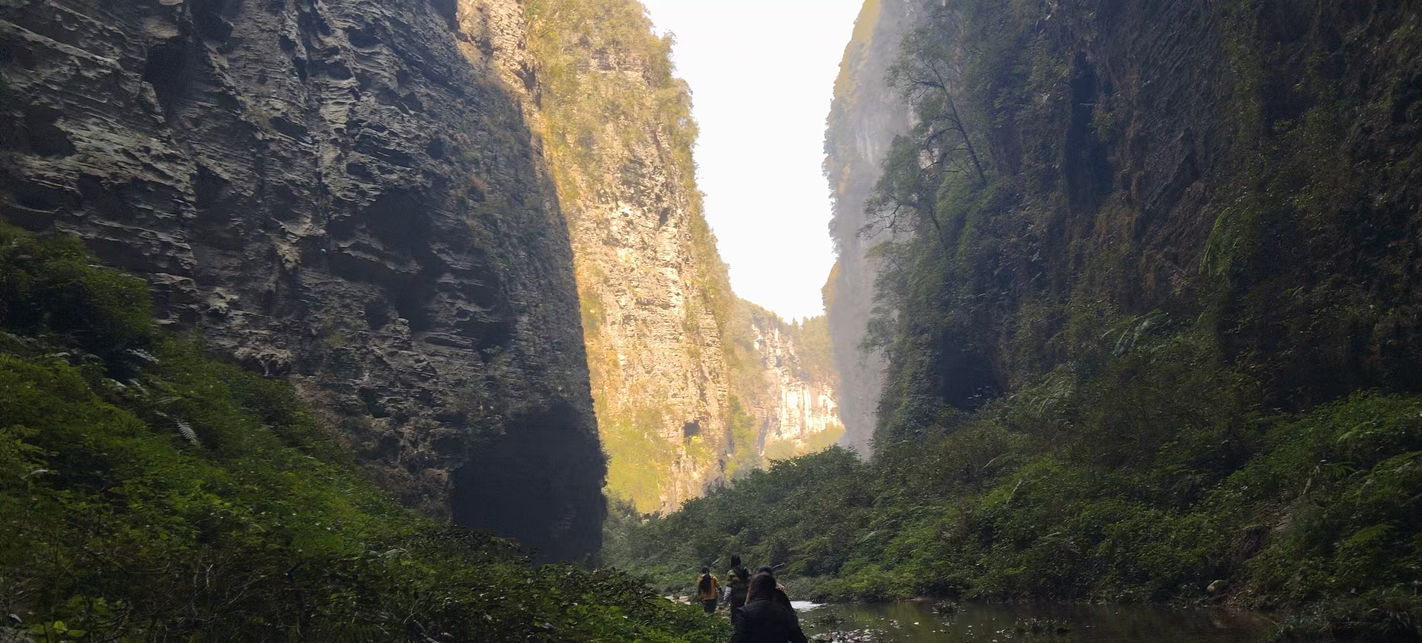 龙骨